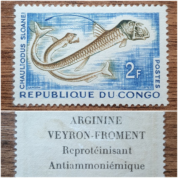 Congo Rep Stamp 1961 with Advertising at the Back. Sloane's Viperfish. Sc: CG 98. Mint Hinged.