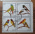 Sverige, Isö Block of Cinderella Stamps 1977. Birds.