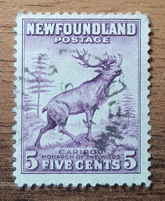 Newfoundland Stamp 1932. Caribou. Sg: NW 213. Used.